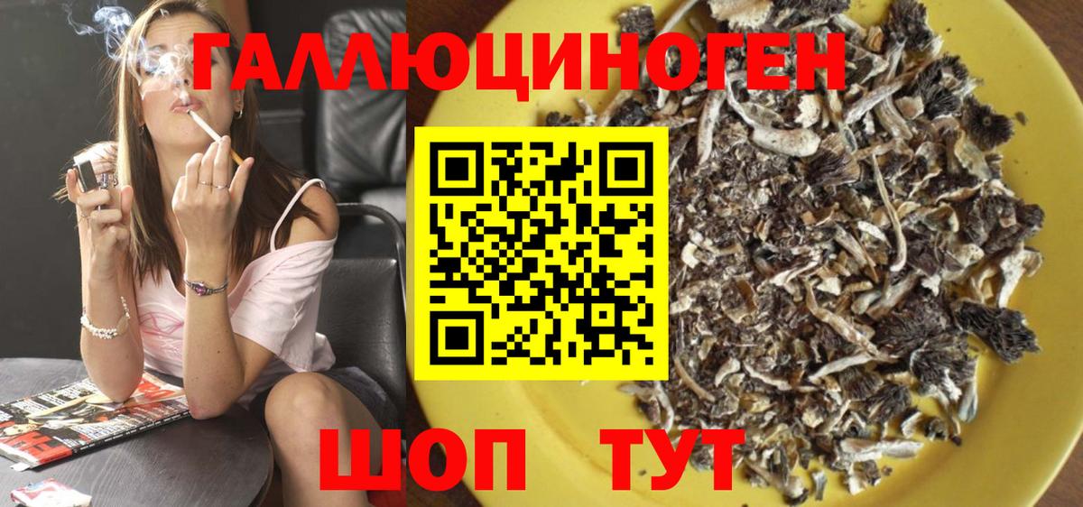 где можно купить наркотик  Вход с VPN  Большой Камень  Галлюциногенные грибы ЛСД  Галлюциногенные грибы Cubensis 