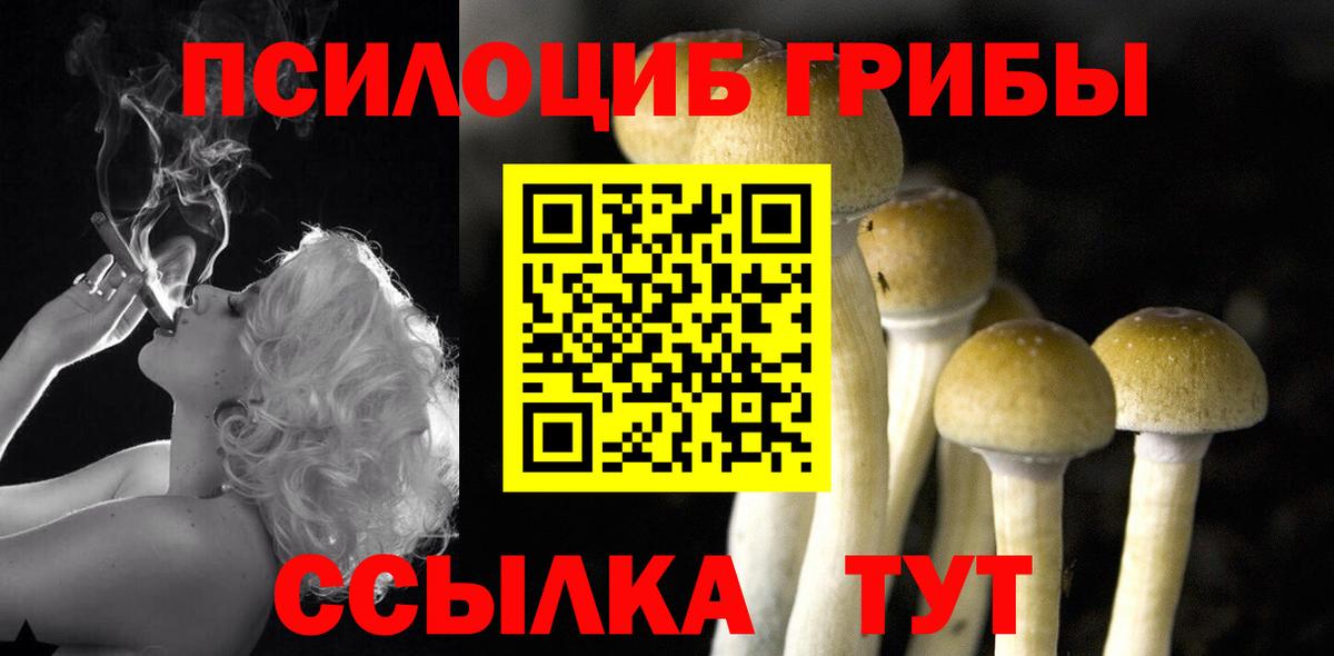 Галлюциногенные грибы MAGIC MUSHROOMS Большой Камень